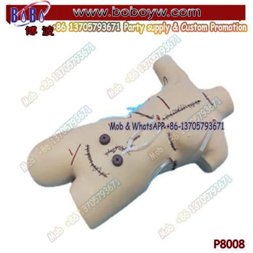 Medical Teaching Model Trainer for Bandaging and Wound Care Training