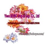 Cargo Yiwu Sourcing Agent Yiwu Commodity Service