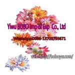China Yiwu Sourcing Buying Purchasing Agent Party Gifts