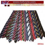 School Tie School Supply Kid′s Bowtie Elastic Ties Factory Wholesale Logo Tie Necktie (B8066)