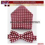 China Yiwu Market Polyester Tie Silk Necktie Neckwear Business Gift Party Items (B8090)