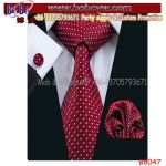 Business Gifts Business Promotion Gift Men′s 100% Jacquard Woven Tie Silk Neckties Tie (B8047)