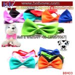 Wholesale Custom Ties Pets Cat Dog Ties Mini Tie Puppy Neck Acccessory Bright Colour Collar Bottle Tie (B8403)