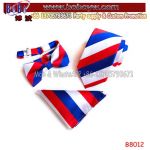Wholesale Factory Silk Ties Handkerchief Bowties Gift Box Set Custom Logo Tie (B8012)