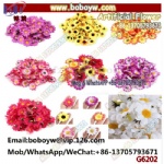 Yiwu China Factory Flowers Artificial Flower Buying Agent Garden Silk Flowers